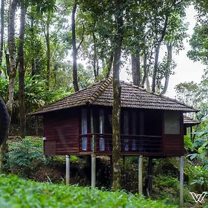 Resort Lantern - A Wandertrails Showcase